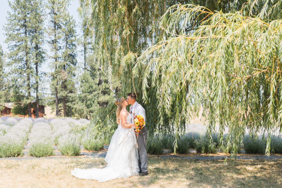 Spokane wedding venue, Spokane wedding, Things to do in Spokane, reasons to have your wedding in Spokane, wedding dress, groom attire, cocktail attire, outdoor wedding venue, outdoor wedding, lavender farm, wedding farm, affordable wedding venue, reception, wedding reception, places to get married, Spokane wedding locations, Spokane wedding ceremony, wedding budget, all inclusive wedding venue, Chateau Rive, Commellini Estate, LaRae's on Second