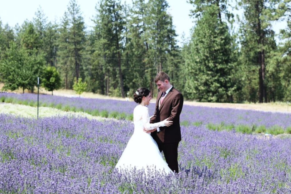 the Best 2027 Wedding Dates