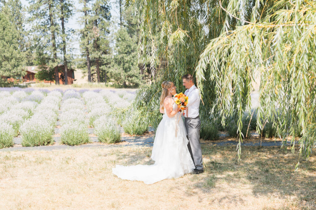 Sunset wedding at Lavender Manor featuring lavender fields and mountain views near Spokane